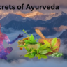 How Does Ayurveda Work